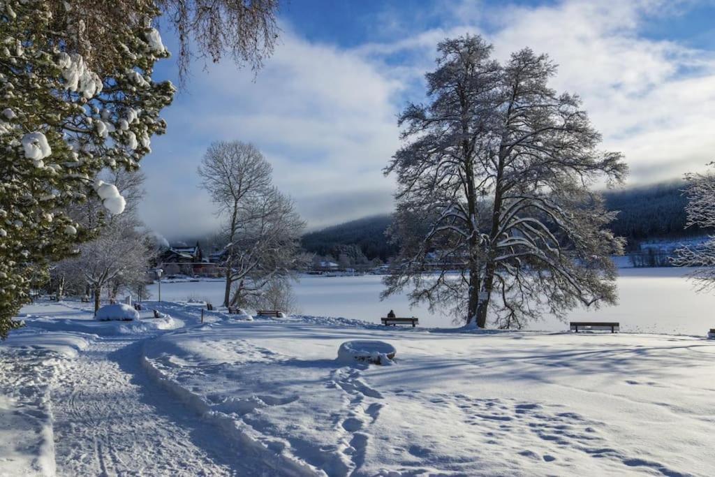 Waldklang Titisee Dış mekan fotoğraf