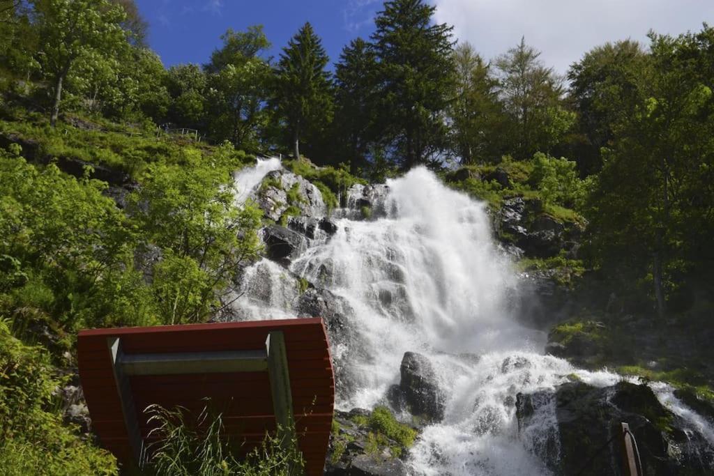 Waldklang Titisee Dış mekan fotoğraf