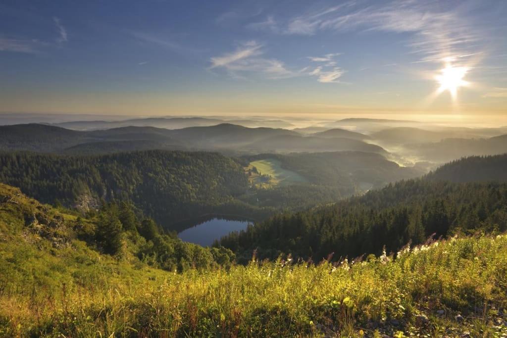 Waldklang Titisee Dış mekan fotoğraf