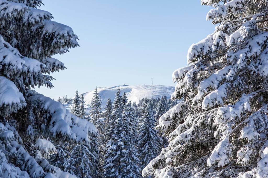 Waldklang Titisee Dış mekan fotoğraf