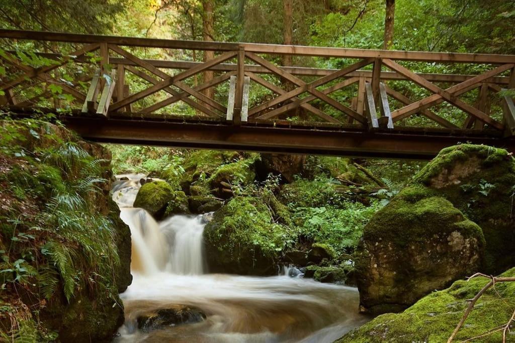 Waldklang Titisee Dış mekan fotoğraf
