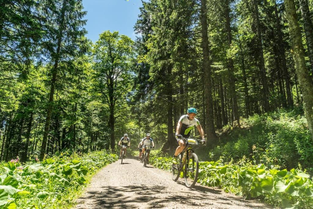 Waldklang Titisee Dış mekan fotoğraf