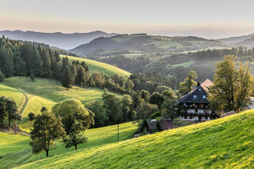 Waldklang Titisee Dış mekan fotoğraf